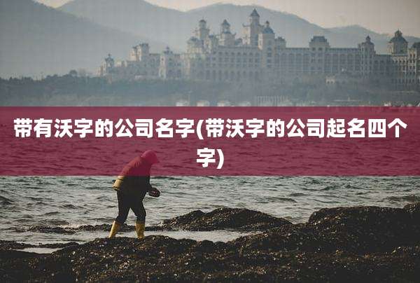 带有沃字的公司名字(带沃字的公司起名四个字)