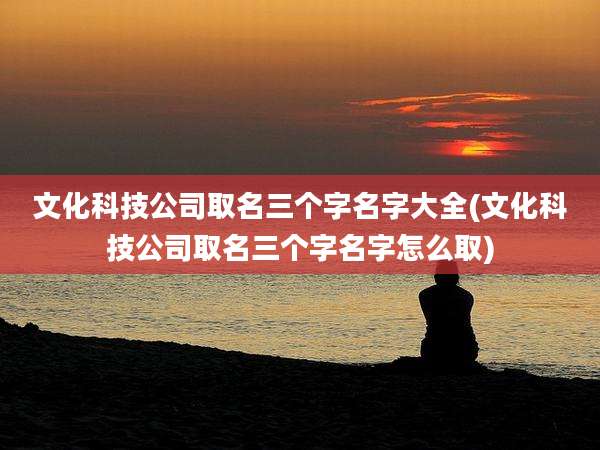 文化科技公司取名三个字名字大全(文化科技公司取名三个字名字怎么取)
