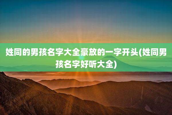 姓同的男孩名字大全豪放的一字开头(姓同男孩名字好听大全)