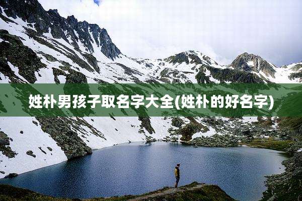 姓朴男孩子取名字大全(姓朴的好名字)