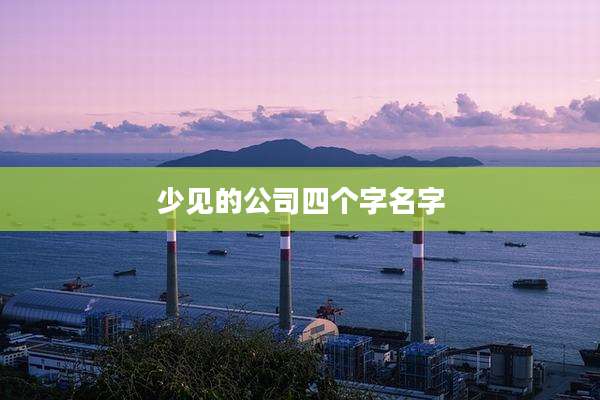 少见的公司四个字名字
