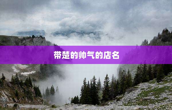 带楚的帅气的店名