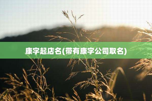 康字起店名(带有康字公司取名)