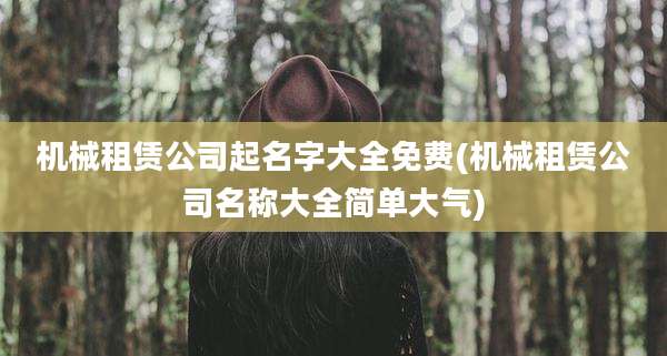 机械租赁公司起名字大全免费(机械租赁公司名称大全简单大气)