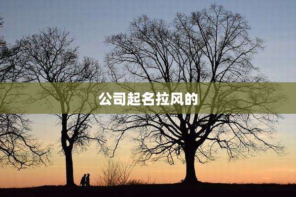 公司起名拉风的