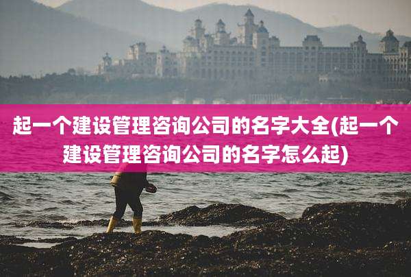 起一个建设管理咨询公司的名字大全(起一个建设管理咨询公司的名字怎么起)