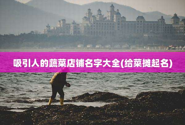 吸引人的蔬菜店铺名字大全(给菜摊起名)