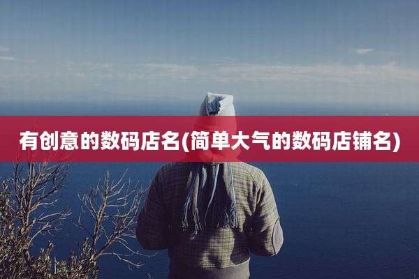 有创意的数码店名(简单大气的数码店铺名)