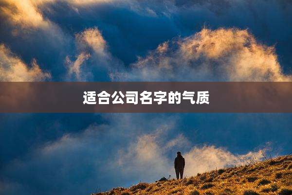 适合公司名字的气质