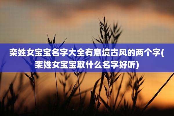 栾姓女宝宝名字大全有意境古风的两个字(栾姓女宝宝取什么名字好听)