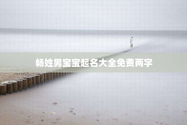 畅姓男宝宝起名大全免费两字