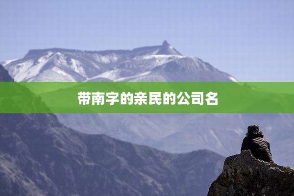 带南字的亲民的公司名