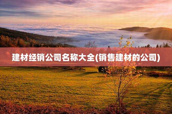 建材经销公司名称大全(销售建材的公司)
