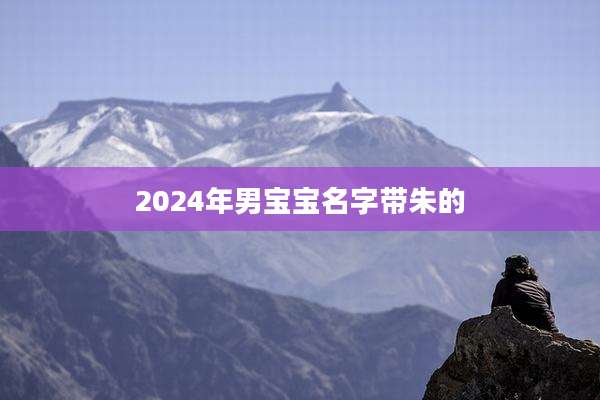 2024年男宝宝名字带朱的