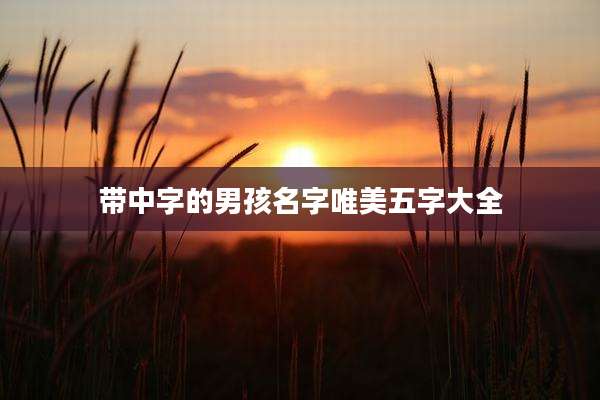 带中字的男孩名字唯美五字大全