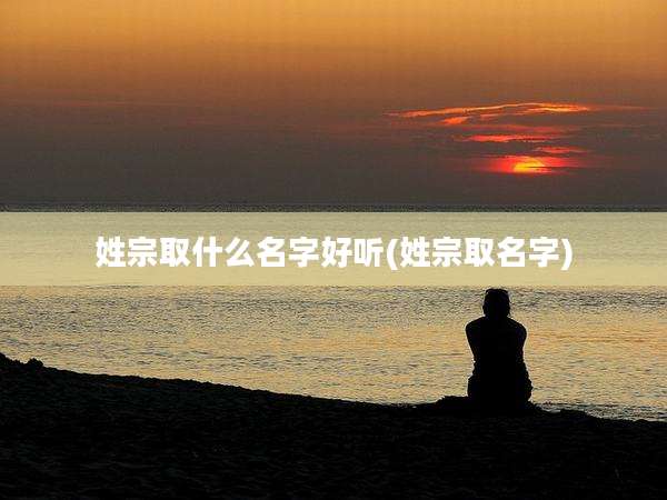 姓宗取什么名字好听(姓宗取名字)