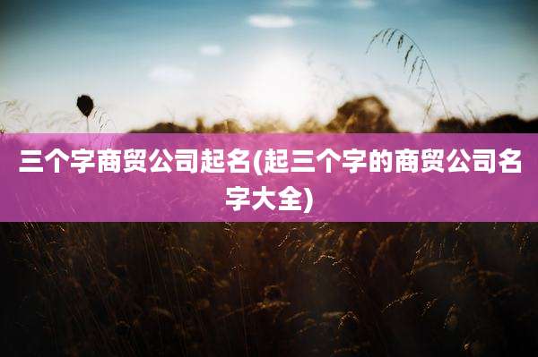 三个字商贸公司起名(起三个字的商贸公司名字大全)