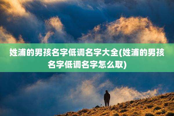 姓浦的男孩名字低调名字大全(姓浦的男孩名字低调名字怎么取)
