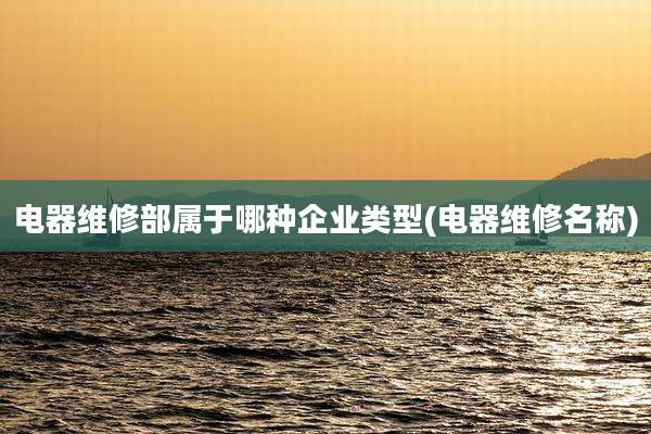 电器维修部属于哪种企业类型(电器维修名称)