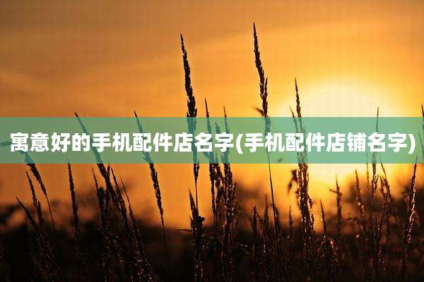 寓意好的手机配件店名字(手机配件店铺名字)