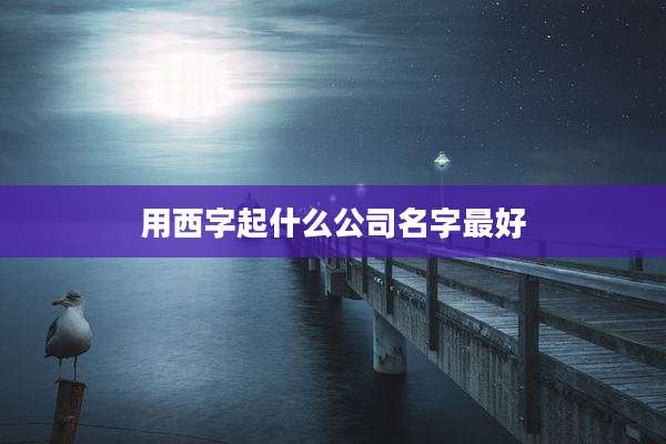 用西字起什么公司名字最好