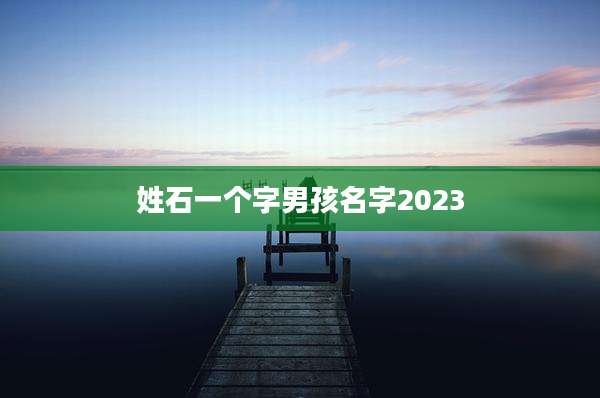 姓石一个字男孩名字2023