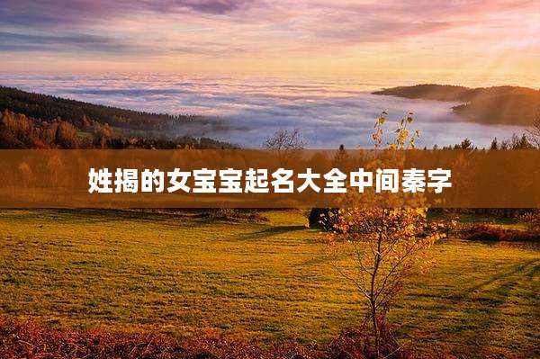 姓揭的女宝宝起名大全中间秦字