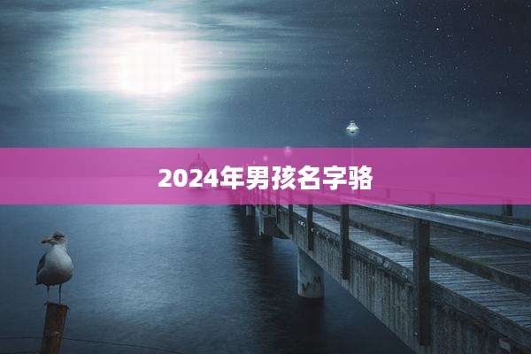 2024年男孩名字骆