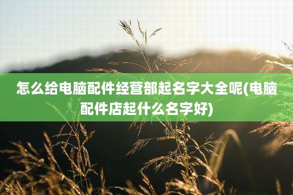 怎么给电脑配件经营部起名字大全呢(电脑配件店起什么名字好)