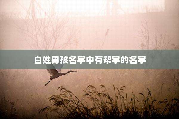 白姓男孩名字中有帮字的名字