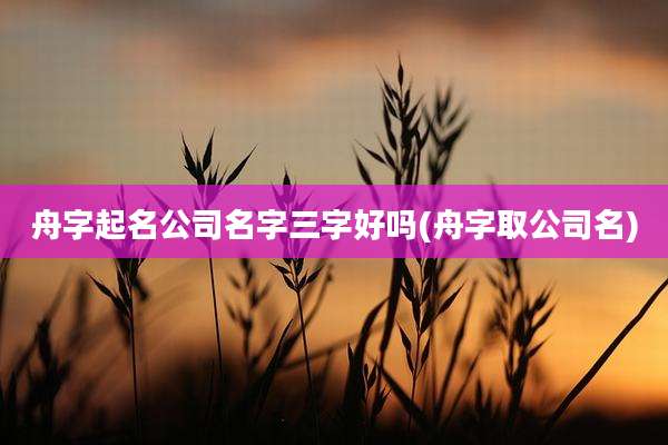 舟字起名公司名字三字好吗(舟字取公司名)
