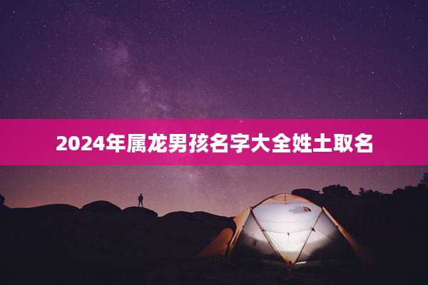 2024年属龙男孩名字大全姓土取名