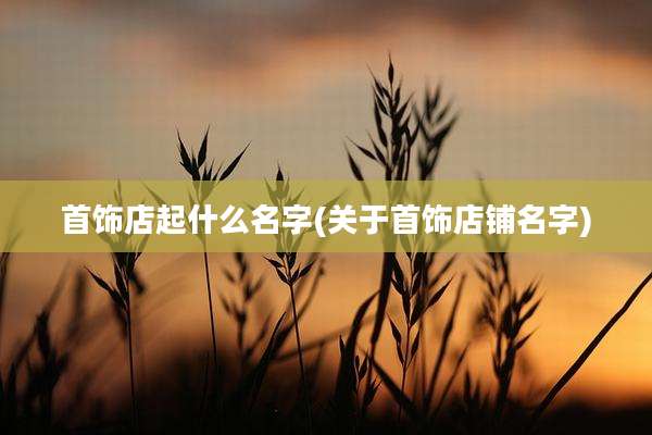 首饰店起什么名字(关于首饰店铺名字)