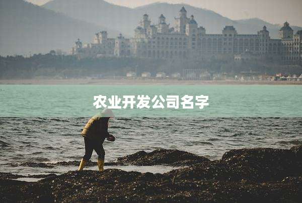 农业开发公司名字