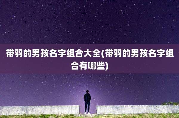 带羽的男孩名字组合大全(带羽的男孩名字组合有哪些)
