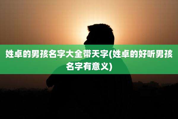 姓卓的男孩名字大全带天字(姓卓的好听男孩名字有意义)
