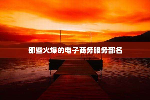 那些火爆的电子商务服务部名