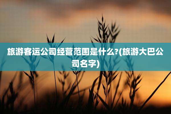 旅游客运公司经营范围是什么?(旅游大巴公司名字)