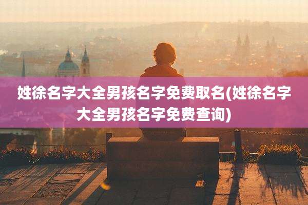 姓徐名字大全男孩名字免费取名(姓徐名字大全男孩名字免费查询)