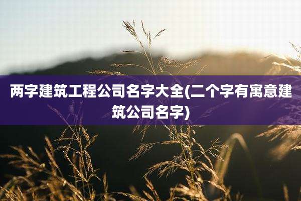 两字建筑工程公司名字大全(二个字有寓意建筑公司名字)