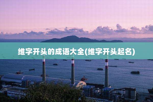 维字开头的成语大全(维字开头起名)