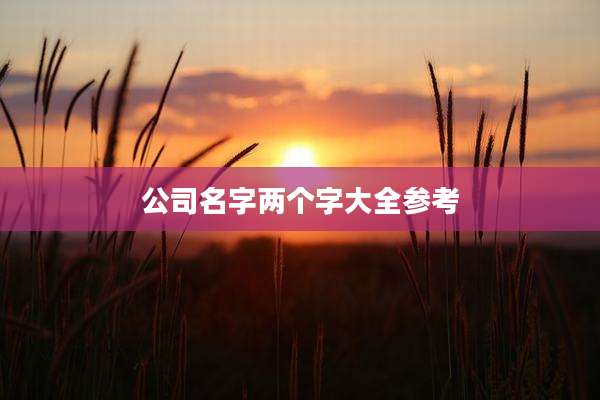 公司名字两个字大全参考
