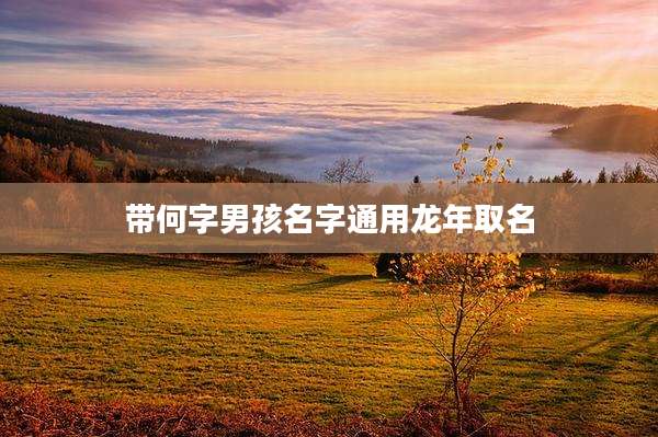 带何字男孩名字通用龙年取名